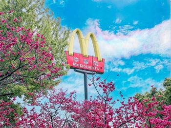 📣中壢.櫻花公園 || 全台最美的𝐌就在這裡🌸