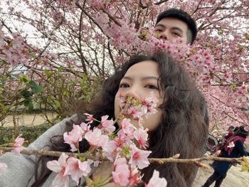 賞櫻｜山上人家