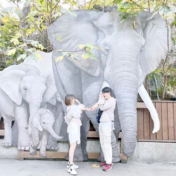 📍台北景點-臺北市立動物園｜重返Zoo,好懷念呀！