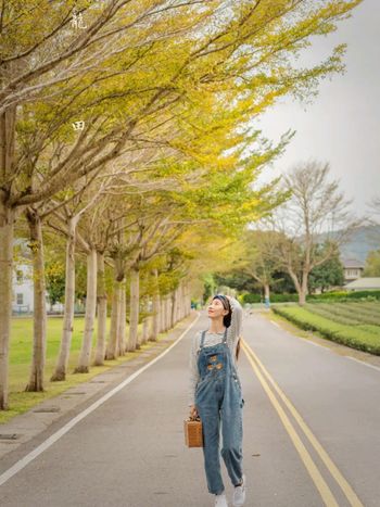 小葉欖仁綠色隧道，你也想感受春天黃金雨的浪漫嗎