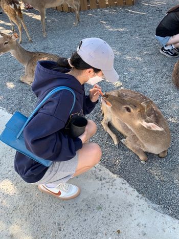 恆春｜鹿境農場🦌🤍