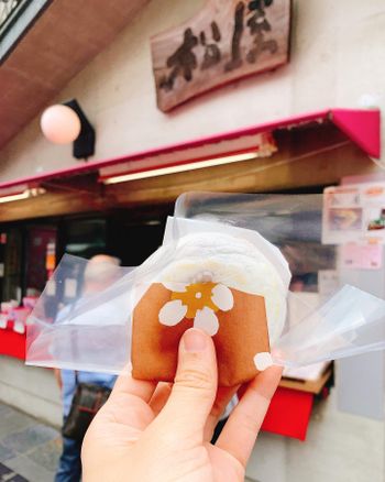 日本美食｜太宰府必買散步甜食，梅枝餅🌸