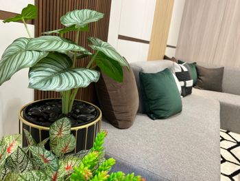 新店賞屋｜春日系風格樣品屋