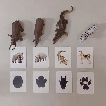 親子共玩｜動物腳印蓋印