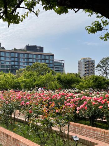 春天賞花景點推薦｜士林官邸玫瑰園