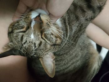 😻😻