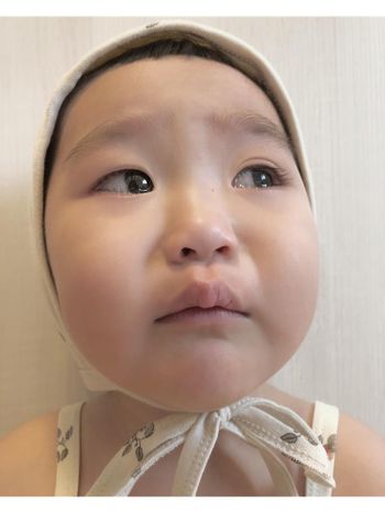 今天的蔥蔥