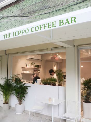 異國風咖啡廳新開幕｜The Hippo Coffee