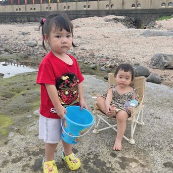 漁港抓魚
