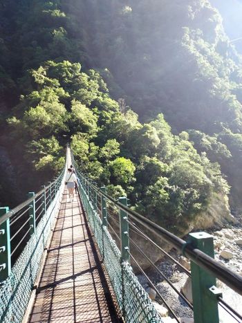 錐麓古道吊橋