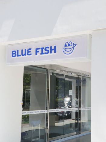 即將試營運！｜BlueFish 樂魚