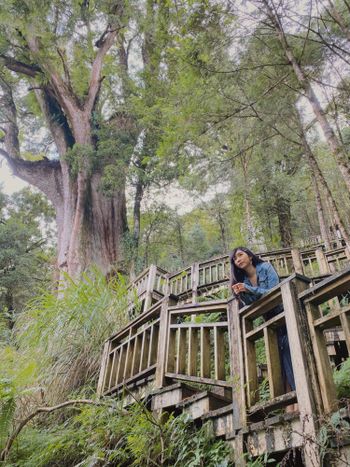 宜蘭｜到山上避暑🍃吸收千年神木園區的芬多精