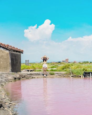 超夢幻場景粉紅奶昔般的台南七股粉紅湖