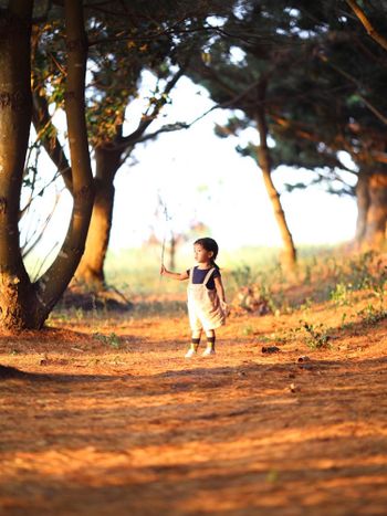 月月週末森林去➳九天黑森林