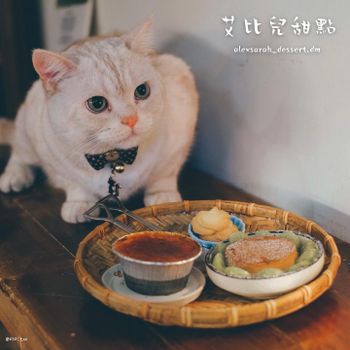 【新竹 • 東區】艾比兒甜點-快來吃日式布丁和看咪咪店長