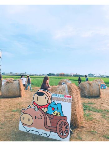 台南限定咖波稻田