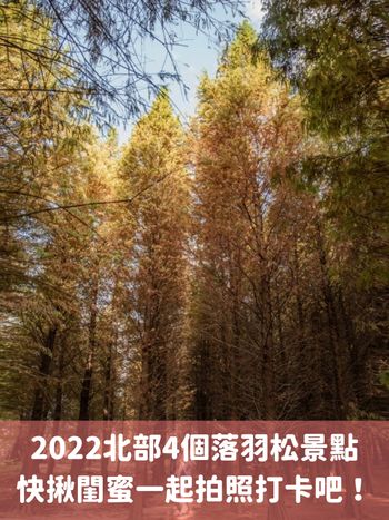 4個2022必拍的北部落羽松景點，最近的就在台北超方便！