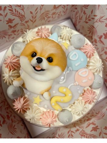 DiDi 的生日蛋糕超級無敵可愛，是寵物可以吃的唷