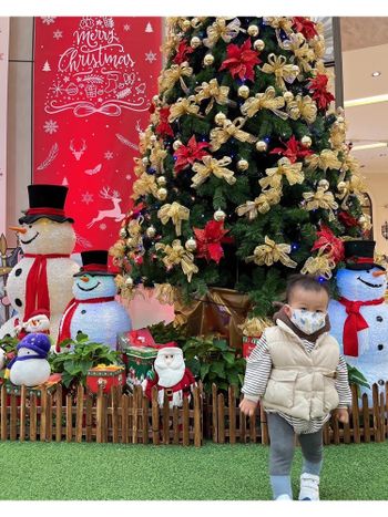 收集聖誕樹🎄