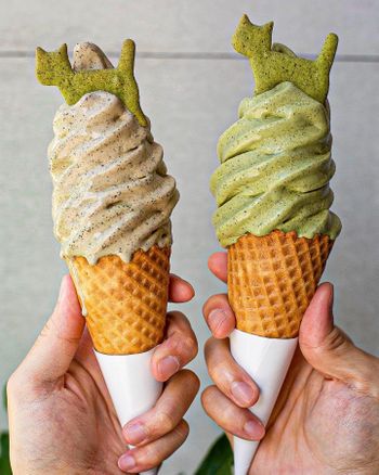 貓空美食・濃厚茶味喵喵霜淇淋🍦