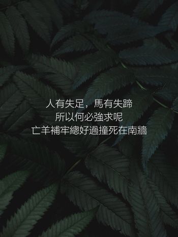 承認吧，這就是個錯誤的選擇