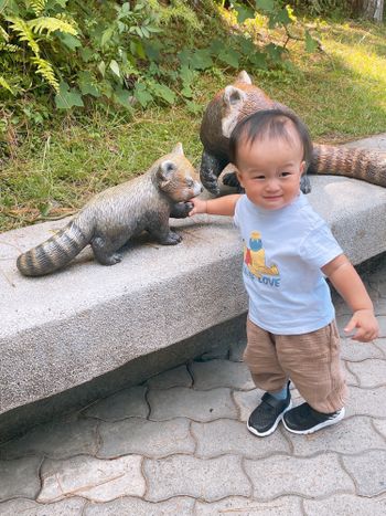台北/動物園