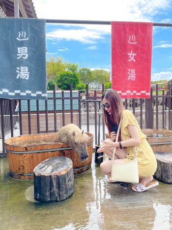 宜蘭景點-綠舞日式主題園區