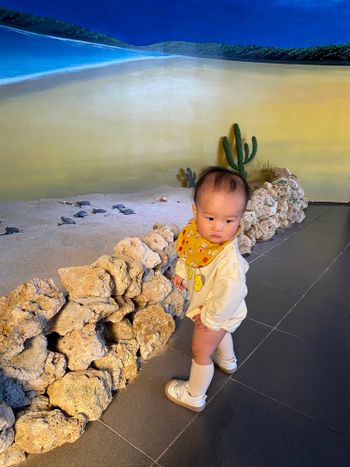 澎湖/海洋博物館