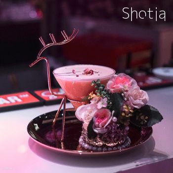 【台北市 • 大安區】Shotia 聚會、唱歌的包廂酒吧