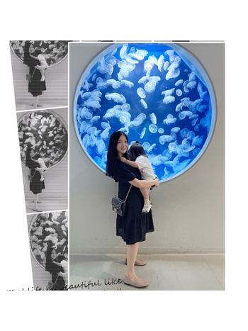 親子景點🔎青埔日本八景島水族館