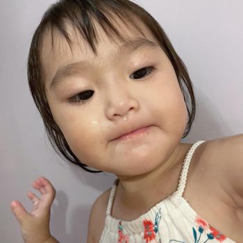王美照