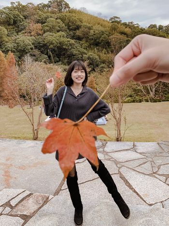 1月一定要去的小森之歌🍁