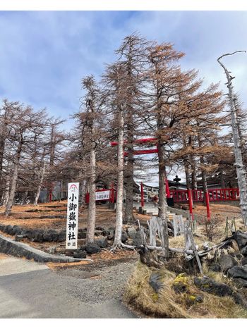 日本｜富士山五合目｜小御嶽神社⛩️