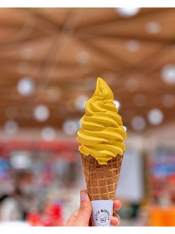 #期間限定 北海道函館 栗子南瓜霜淇淋🍦