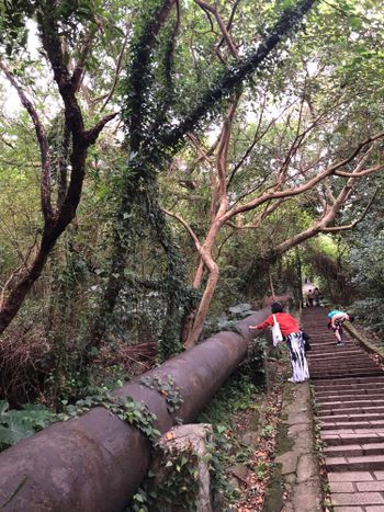 天母水管路步道