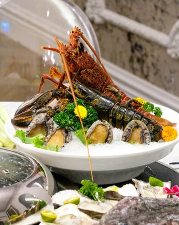 🍴濤濤 海鮮蒸氣鍋🍴 /