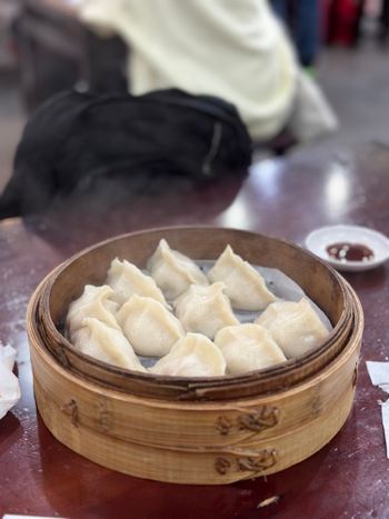 忠孝復興站《紫琳蒸餃館》｜東區人氣平價老店