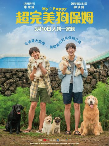 狗奴必看！《超完美狗保姆》柳演錫、車太鉉再度合作，8隻萌犬演出萌翻天！