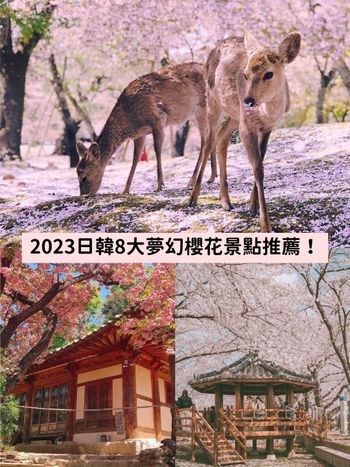 2023日韓櫻花季8大賞櫻行程！奈良、富士山、首爾...通通列為人生必訪旅遊景點！