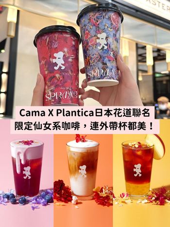 Cama X日本花道Plantica推出仙女系咖啡！山茶花拿鐵、藍莓奶蓋冷翠...連外帶杯都美！