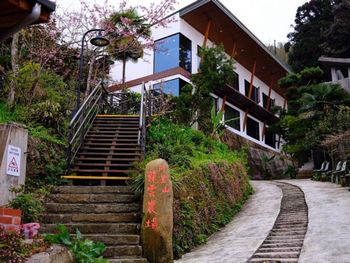 【 嘉義住宿↠ 龍雲農場 】櫻花季