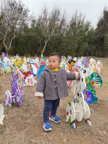 澎湖兔子展