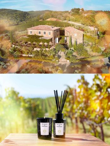 2023居家香氛推薦！Acqua di Parma攜手義式鄉村酒莊，推出限量聯名『果香佳釀香』，薰衣草、葡萄交融的香氣！