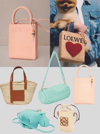 兩萬起擁有新包！LOEWE『夢幻精品包』整理：520情人節限定、入門款通通好心動！