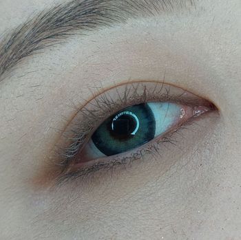 今日眼妝