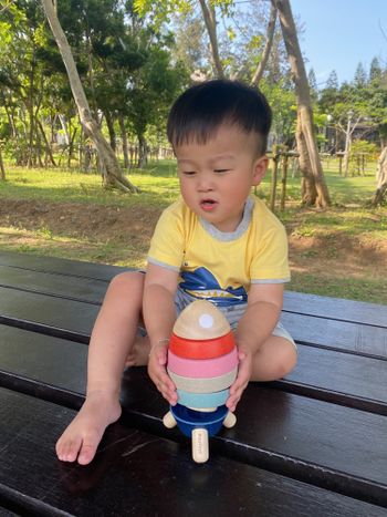 泰國Plantoys安全無毒環保木玩