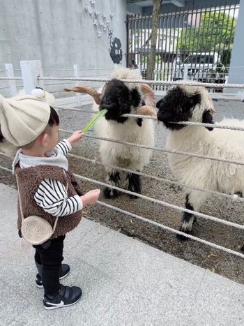 無糖綠帶你吃喝玩樂（🐑黑RuRu咖啡☕️）