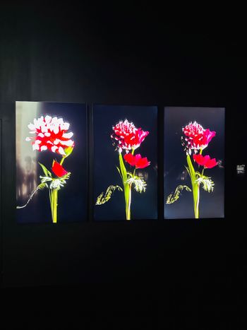東信展 繁華 時敘🌹