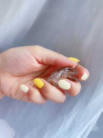 6月的熊爪