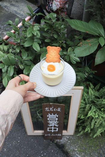 中正紀念堂超可愛的泰迪荷包蛋布丁｜泰迪這甜點 × 陳男製菓